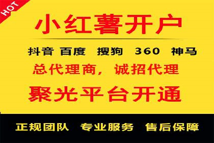 SEO关键词优化：某品牌逆袭的案例解析